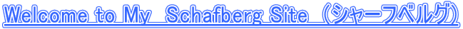 Welcome to My�@Schafberg Site�@(�V���[�t�x���O) 
